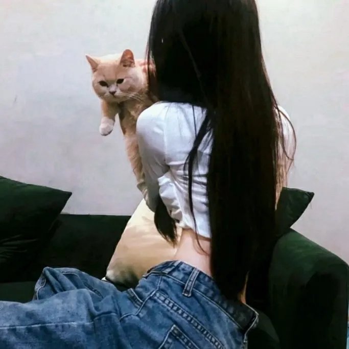 漫游的家庭